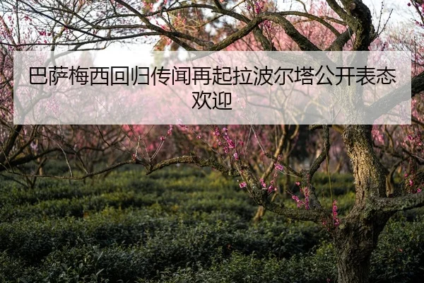 ba-sa-mei-xi-hui-gui-chuan-wen-zai-qi-la-bo-er-ta-gong-kai-biao-tai-huan-ying-2-343.jpg