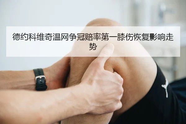 de-yue-ke-wei-qi-wen-wang-zheng-guan-pei-lv-di-yi-xi-shang-hui-fu-ying-xiang-zou-shi-2-988.jpg