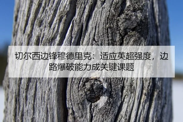 qie-er-xi-bian-feng-mu-de-li-ke-shi-ying-ying-chao-qiang-du-bian-lu-bao-po-neng-li-cheng-guan-jian-ke-ti-2-939.jpg