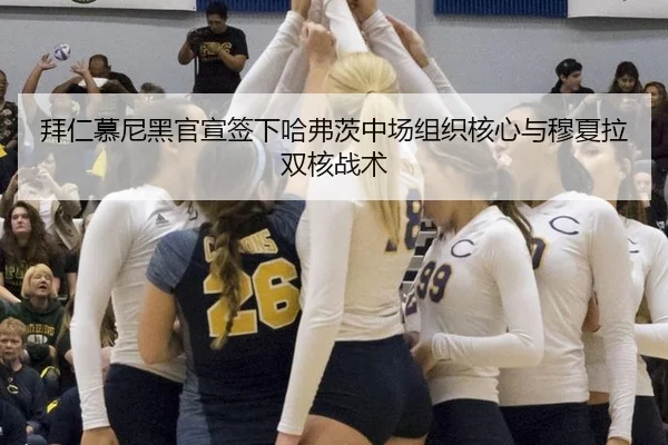 拜仁慕尼黑官宣签下哈弗茨中场组织核心与穆夏拉双核战术