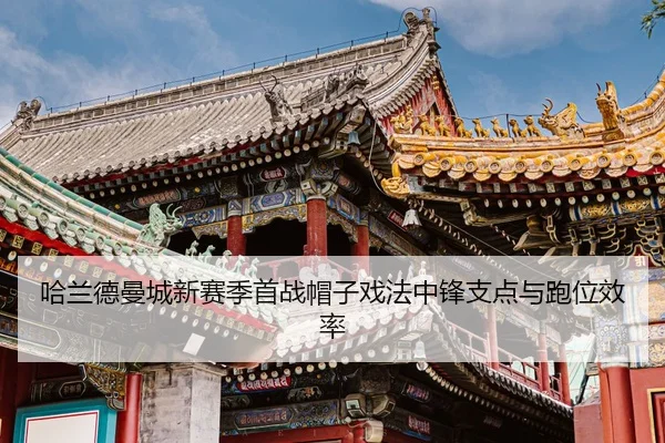 ha-lan-de-man-cheng-xin-sai-ji-shou-zhan-mao-zi-xi-fa-zhong-feng-zhi-dian-yu-pao-wei-xiao-lv-2-755.jpg