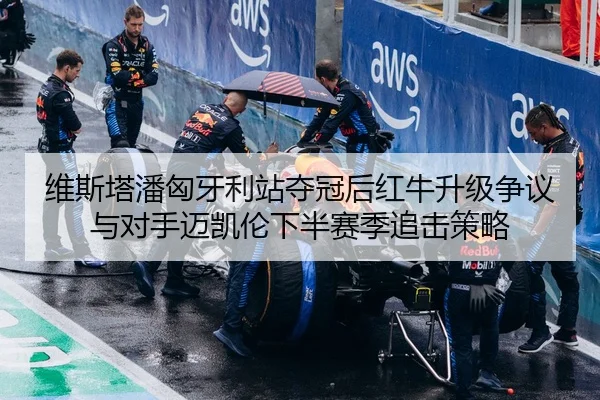 维斯塔潘匈牙利站夺冠后红牛升级争议与对手迈凯伦下半赛季追击策略