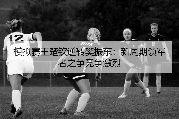 mo-ni-sai-wang-chu-qin-ni-zhuan-fan-zhen-dong-xin-zhou-qi-ling-jun-zhe-zhi-zheng-jing-zheng-ji-lie-3-696.jpg